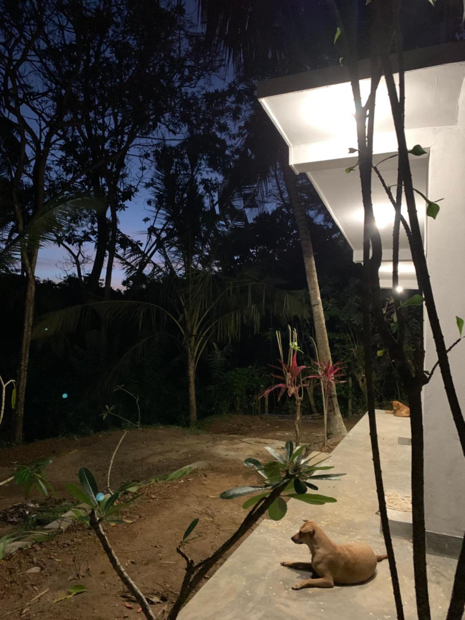 A Pousada Hidden Well Hiriketiya Dikwella Exterior foto